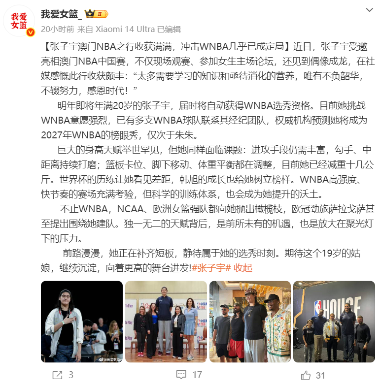 bw西汉姆联案例展示