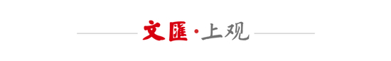 bw西汉姆联案例展示