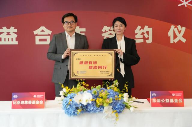 bw西汉姆联案例展示