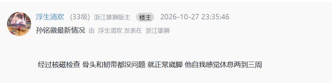 bw西汉姆联图片展示