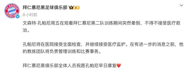 bw西汉姆联图片展示