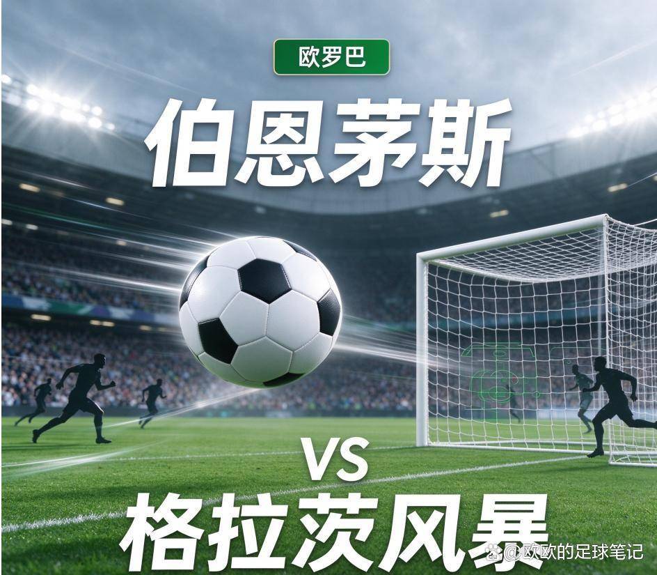 bw西汉姆联案例展示