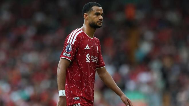 bw西汉姆联图片展示