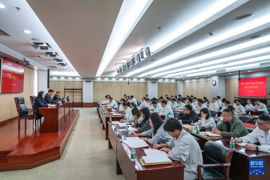 bw西汉姆联案例展示